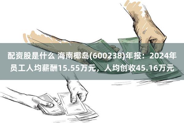 配资股是什么 海南椰岛(600238)年报：2024年员工人均薪酬15.55万元，人均创收45.16万元