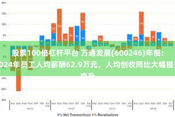 股票100倍杠杆平台 万通发展(600246)年报：2024年员工人均薪酬62.9万元，人均创收同比大幅提升