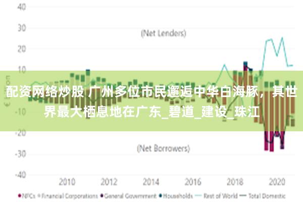 配资网络炒股 广州多位市民邂逅中华白海豚，其世界最大栖息地在广东_碧道_建设_珠江